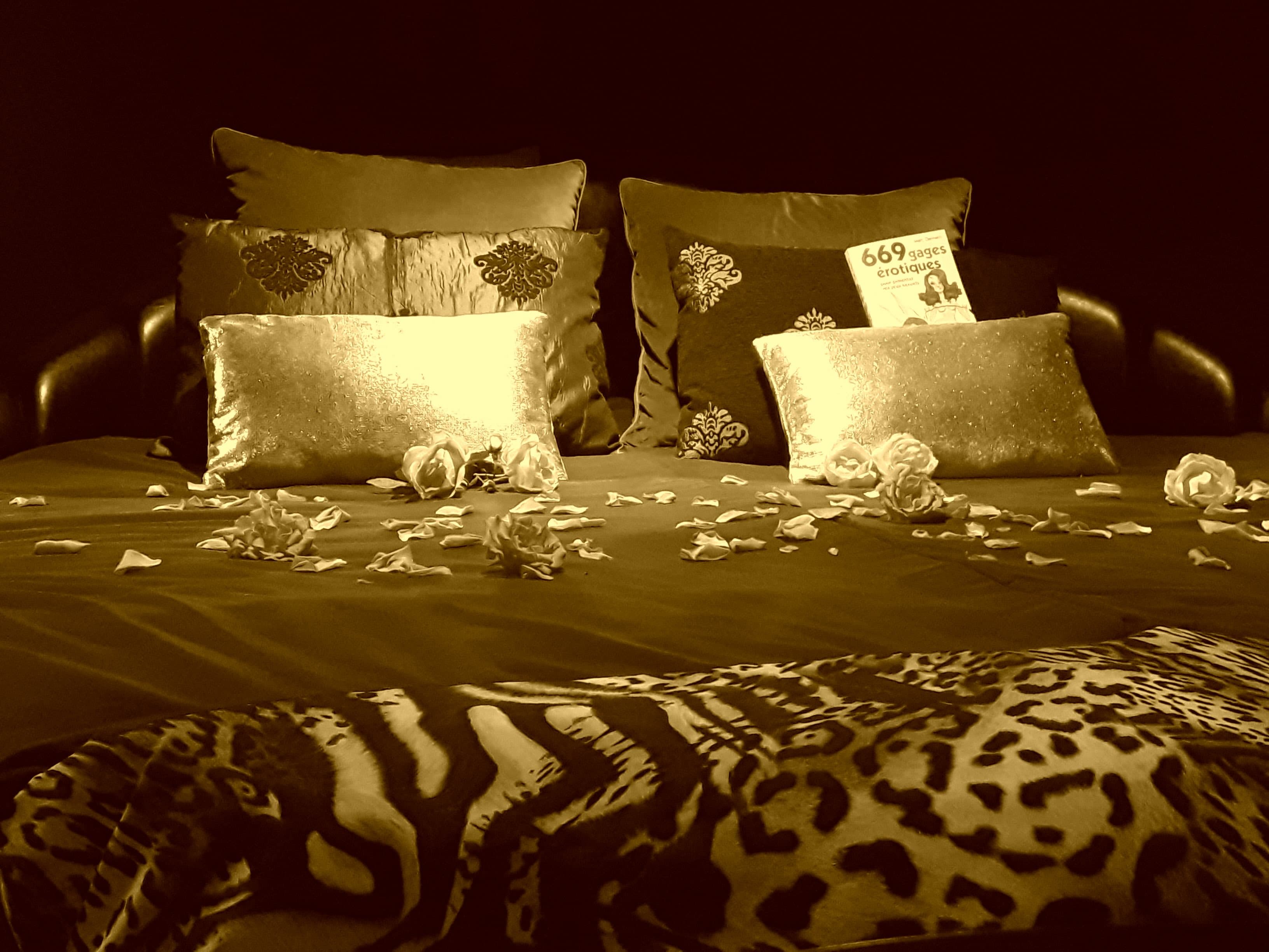 lit avec pétales de roses et livre érotique aux Folies d'Hélène